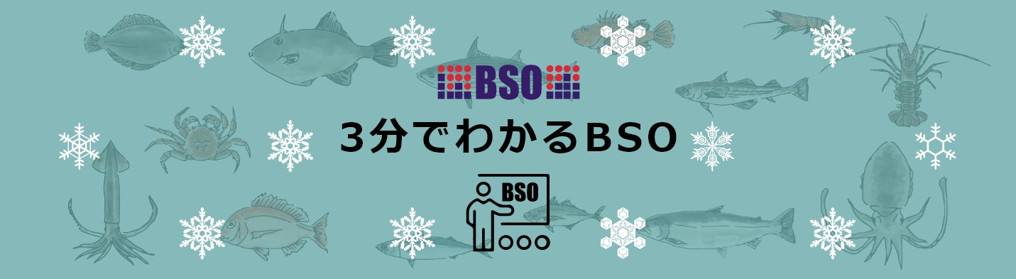 3分でわかるBSO