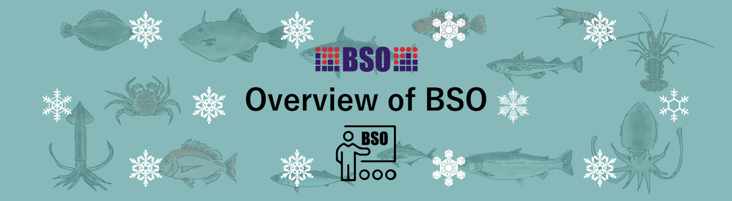 overview of BSO