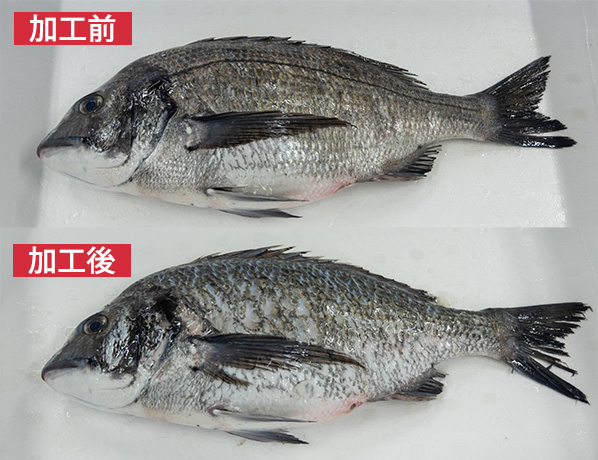 加工の前後比較