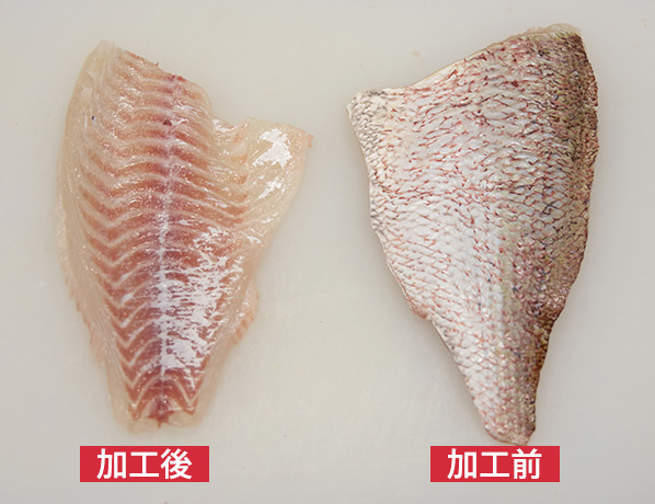 スキンナー加工前後比較