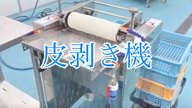 動画で見るスキンナー