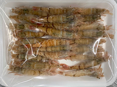 白ガス海老パック